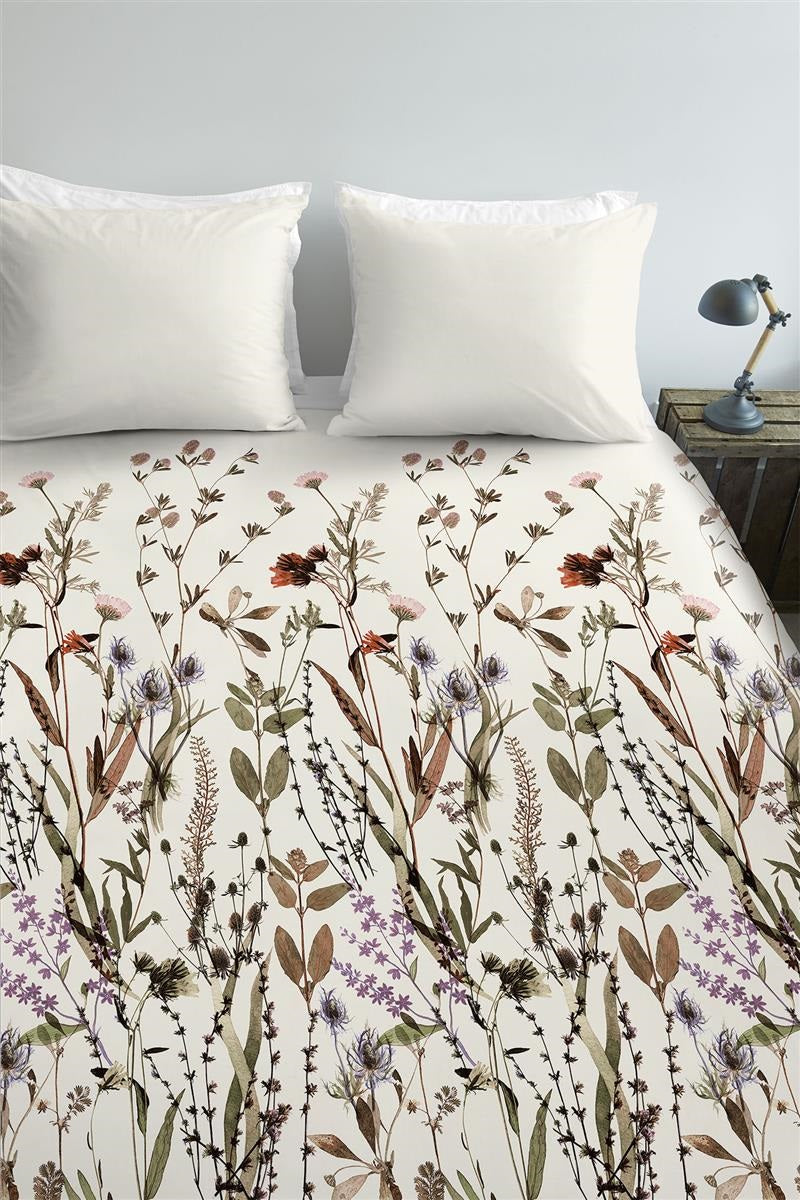 Ambiante Dry Flowers