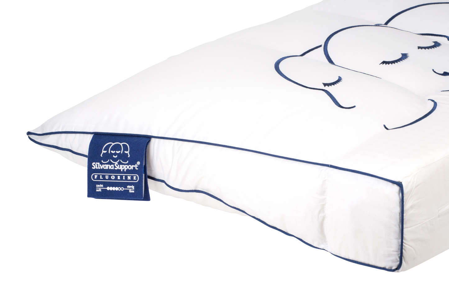 Silvana Support - Fluorine